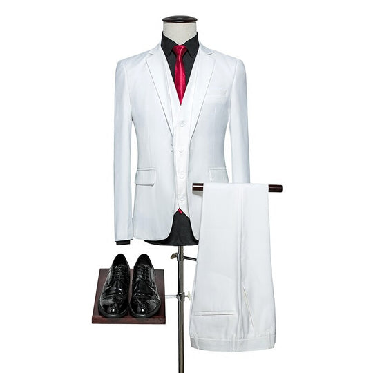 Fashionable attractive Plyesxale Mens Wedding Suit Q20