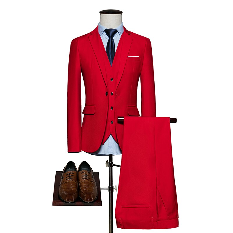 Fashionable attractive Plyesxale Mens Wedding Suit Q20